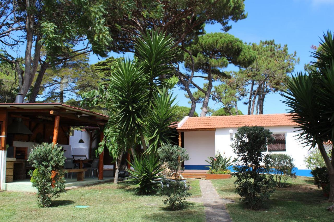 Casinha Do Pinhal Villa Colares Buitenkant foto