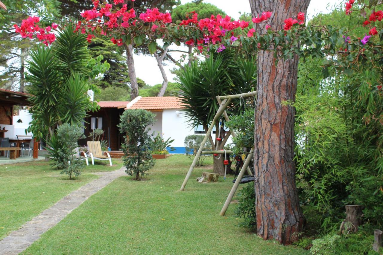 Casinha Do Pinhal Villa Colares Buitenkant foto
