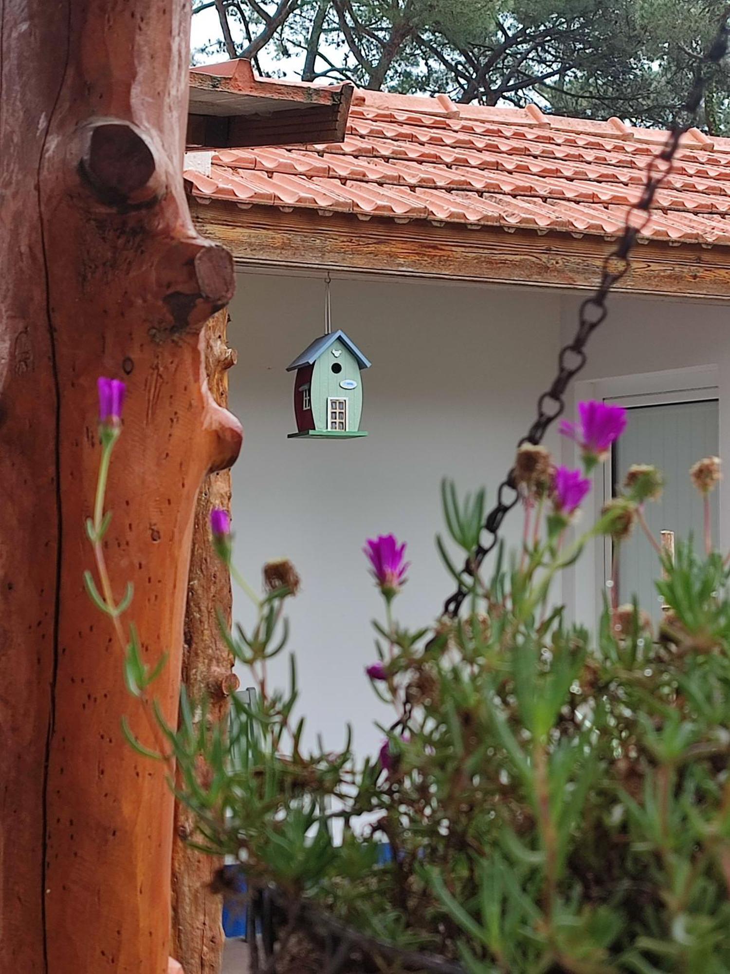 Casinha Do Pinhal Villa Colares Buitenkant foto
